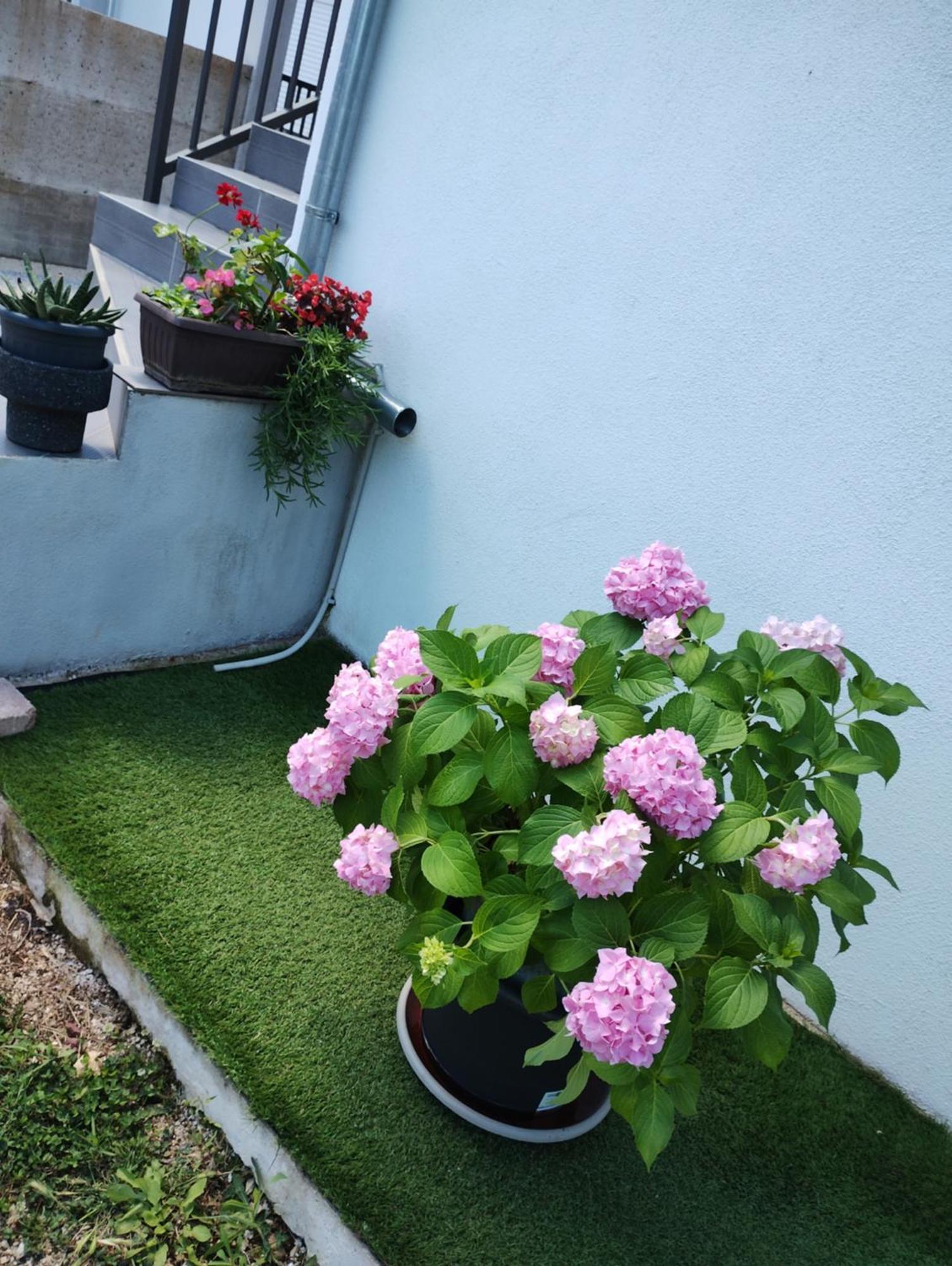 Apartman Enia Murvica  Habitación foto